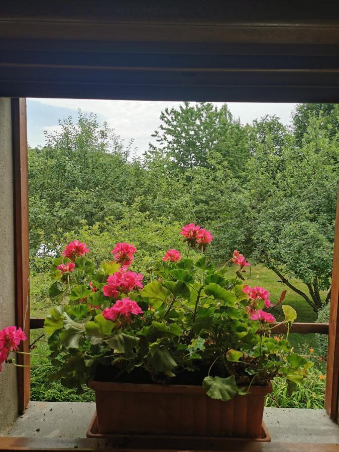 Bed and Breakfast La Grange A Leon Fresse Екстер'єр фото